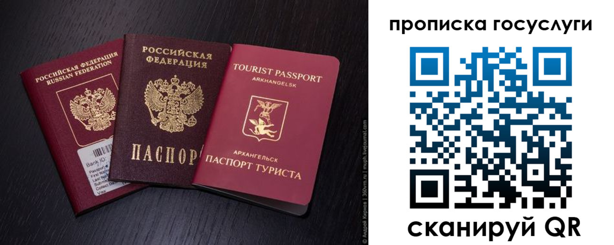 прописка 2025 в Далматово
